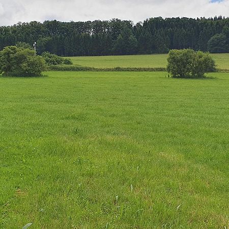 Ferienwohnungen Am Finkenweg Bestwig Εξωτερικό φωτογραφία